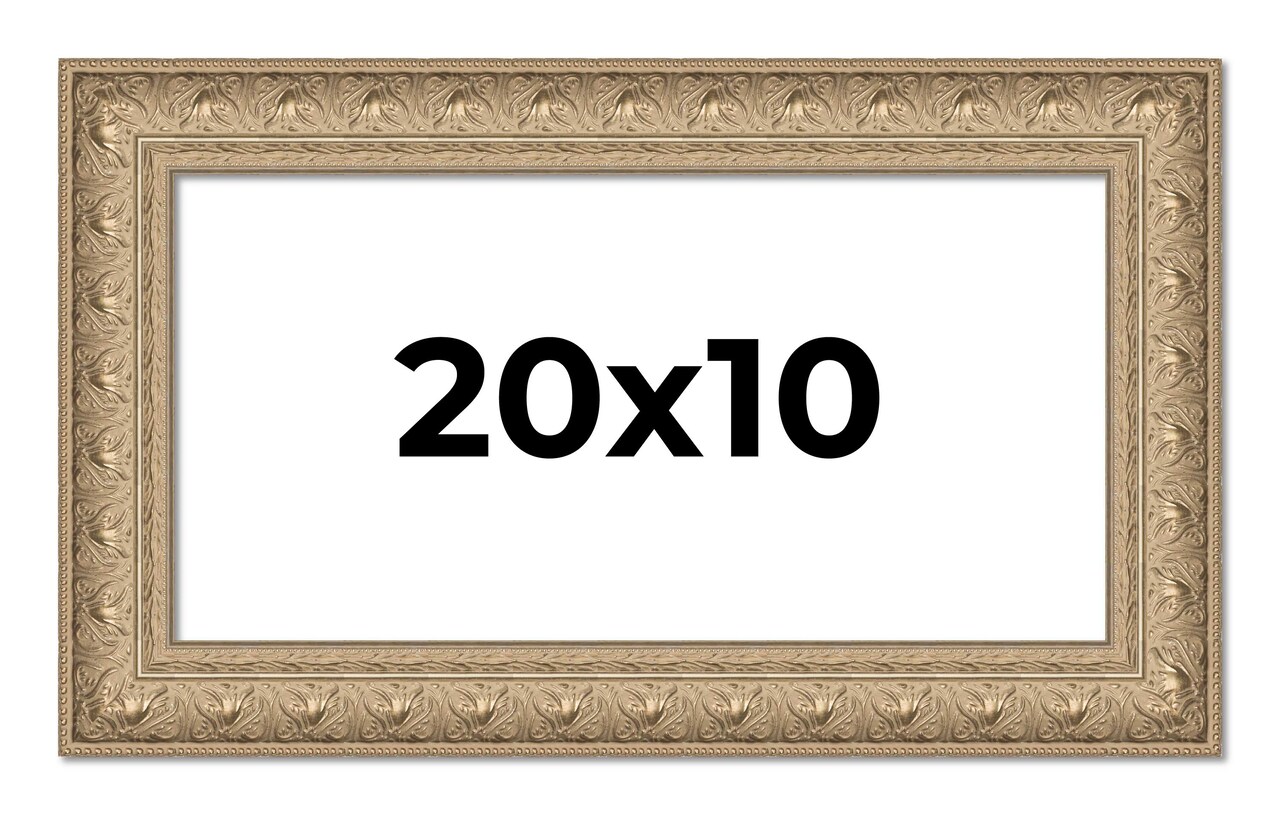 Panoramic Museum Silver Picture Frame - UV Acrylic, Foam Board Backing, Hanging Hardware